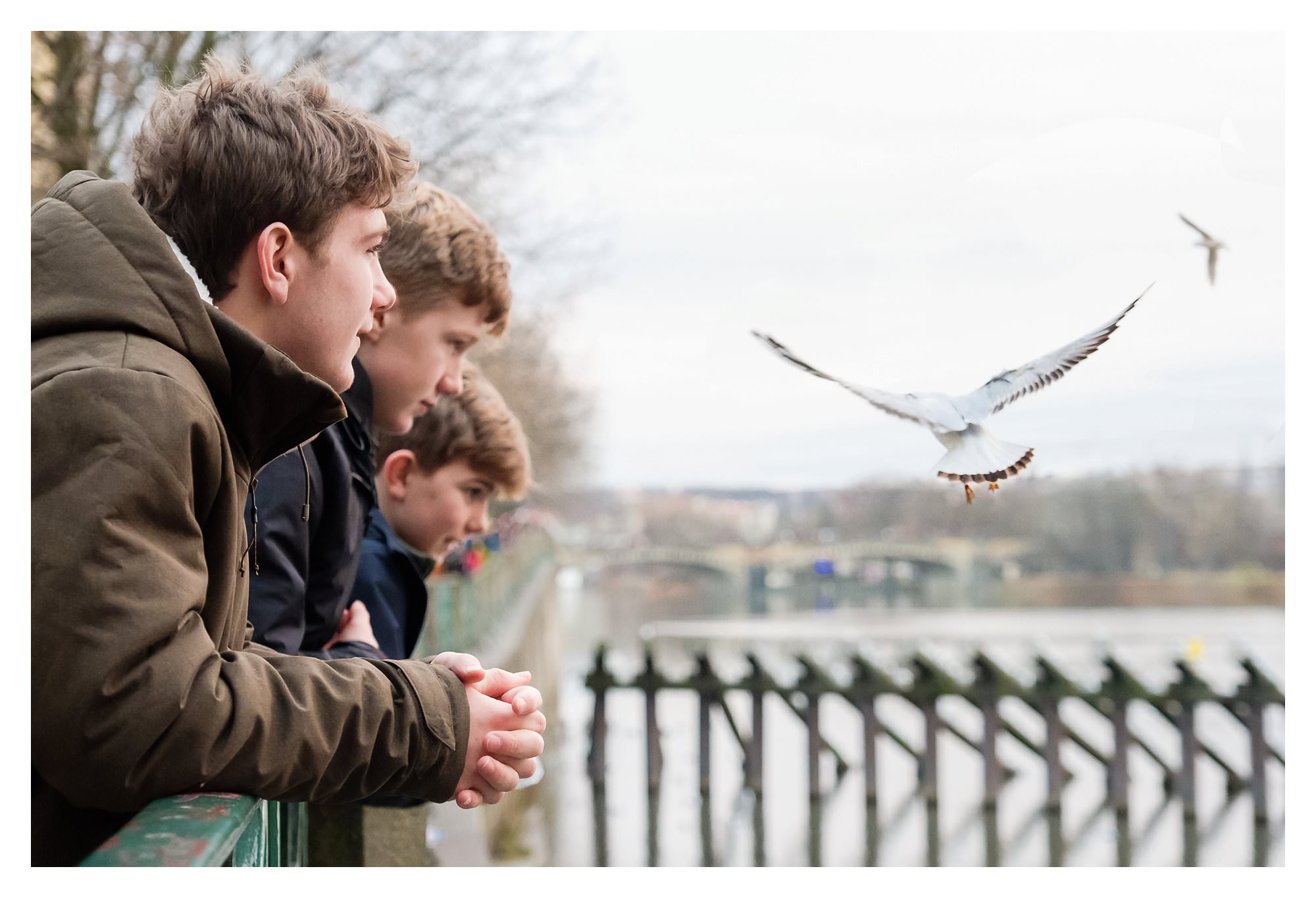 Three boys leaning over a railing watching the birds in Prague on a family trip
