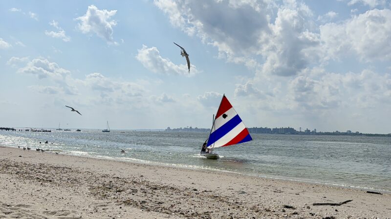 sunfish sailboat coming to shore while birds fly in the sky above