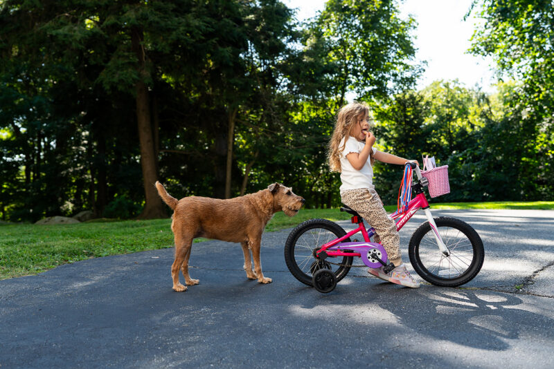 A young girl riding on a bike with a dog following her during a family photo session by Jaye McLaughlin.