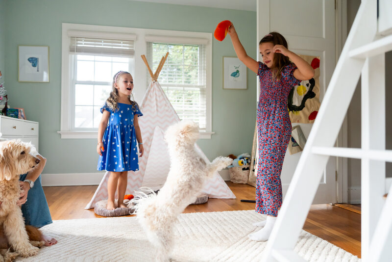 Two young girls in a bedroom playing with two dogs during a family photo session with pets by Jaye McLaughlin.